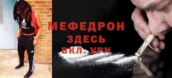 индика Новодвинск