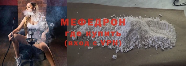 индика Новодвинск