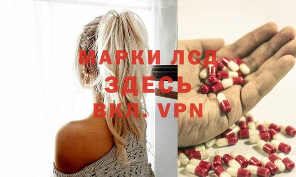 spice Няндома