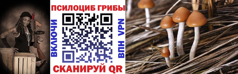Галлюциногенные грибы Cubensis Нестеров